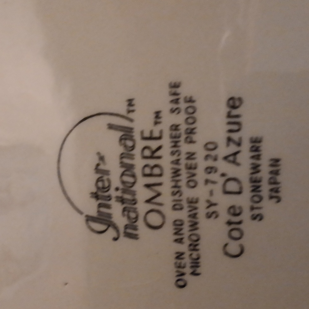 International Ombre Stoneware Plate